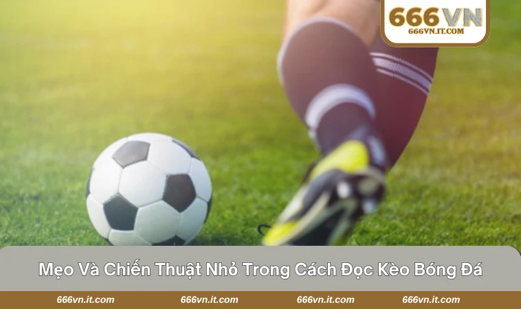 Người chơi đang xem thống kê trận đấu trước khi đặt cược