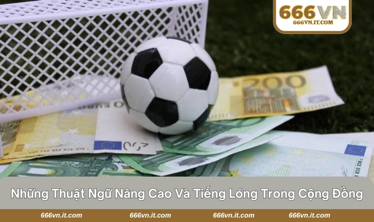 Thuật Ngữ Cá Độ Bóng Đá - Hiểu Đúng Để Chơi Tự Tin Hơn 2 Các biến động tỷ lệ kèo và các từ lóng trong cộng đồng cược
