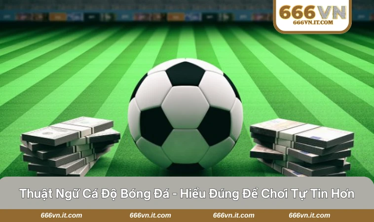thuật ngữ cá độ bóng đá